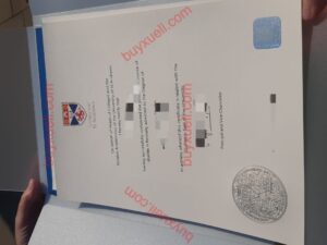 圣安德鲁斯大学毕业证办理,St And本科文凭定制,硕士文凭购买,diploma原版复刻,办理英国留服认证,教育部认证