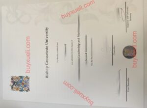 格罗斯泰斯特主教大学文凭，购买格罗斯泰斯特主教大学毕业证，原版一比一做格罗斯泰斯特主教大学学位证