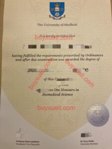 英国谢菲尔德大学毕业证购买,谢菲尔德大学文凭购买,谢大毕业证购买,The University of Sheffield文凭
