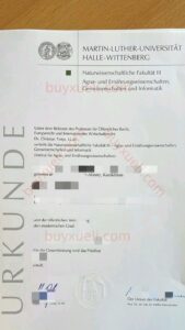 在线办理德国哈雷-维滕贝格马丁路德大学毕业书，哈勒－维腾贝格大学学历文凭制作，Uni Halle本科毕业证，MLU硕士文凭