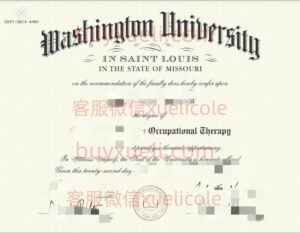 办理圣路易斯华盛顿大学WashU英文毕业证书，美国线上购买圣路易斯华盛顿大学毕业文凭,添加专业客服微信（xuelicole）咨询下单流程,圣路易斯华盛顿大学WUSTL毕业证书模版图,办美国真实留信认证
