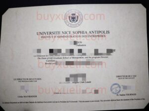 办理法国尼斯大学毕业证书，查看法国尼斯-索菲亚·昂蒂波利斯大学毕业文凭样本图片，尼斯大学学位证书一比一制作,在线购买尼斯大学毕业证，法国高档文凭制作