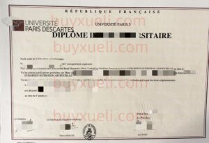 在线购买法国巴黎笛卡尔大学高端定制毕业证书,办理法国巴黎第五大学毕业文凭,原版一比一制作巴黎五大学历文凭,法国巴黎第五大学毕业证