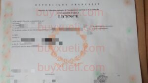 法国巴黎第八大学位证样本,办理法国硕士文凭,代办高仿法国毕业证,购买万塞讷-圣但尼大学毕业证书,巴黎第八大学毕业证文凭,办理法国巴黎第八大学毕业证