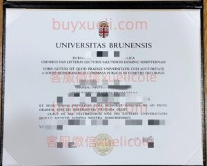 办理Brown布朗大学英文毕业证书，美国线上购买Brown毕业文凭,添加专业客服微信（xuelicole）咨询下单流程,布朗大学毕业证书模版图,办美国真实留信认证