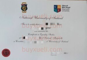 订购爱尔兰国立梅努斯大学毕业证文凭， 办NUIM原版毕业证书,购买国立梅努斯大学NUIM文凭证书,已更新梅努斯大学2025年最新毕业证,补办爱尔兰梅努斯大学各年份毕业证书