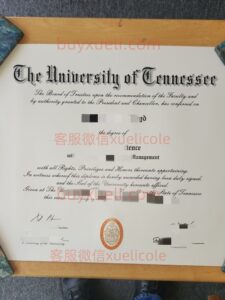 办理田纳西大学英文毕业证书，美国线上购买University of Tennessee毕业文凭,添加专业客服微信（xuelicole）咨询下单流程,田纳西大学诺克斯维尔分校毕业证书模版图,办美国真实留信认证