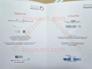 办理罗森海姆工程技术大学毕业证书,联系客服快速了解购买德国罗森海姆工程技术大学毕业文凭流程,线上购买德国罗森海姆工程技术大学毕业证电子图