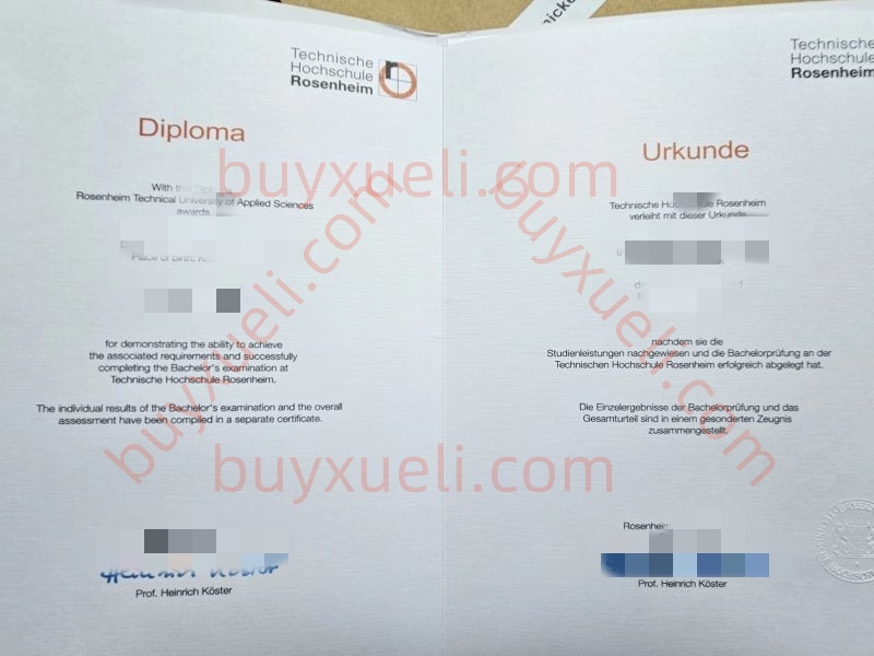办理罗森海姆工程技术大学毕业证书,联系客服快速了解购买德国罗森海姆工程技术大学毕业文凭流程,线上购买德国罗森海姆工程技术大学毕业证电子图