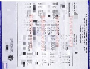 办理加州州立大学北岭分校成绩单,在线购买美国CSUN 成绩单，修改Cal State Northridge成绩单,做一份加利福尼亚州立大学北岭分校官方成绩单要多久,2025年加州州立大学北岭分校最成绩单样本