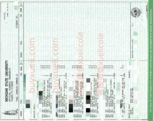 在线做密西根州立大学MSU原版成绩单，美国MSU校原版成绩单定制,定制密西根州立大学学士成绩单，购买美国成绩单,密西根州立大学官方原版课程查询，密西根州立大学成绩单办理