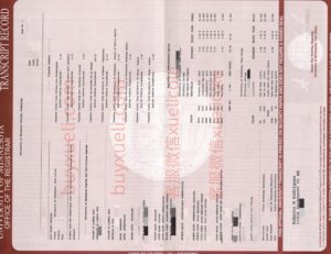 真实复刻明尼苏达大学成绩单，高匹配度美国明尼苏达大学成绩单学士成绩单,明尼苏达大学成绩单定制指南，精准还原美国UMN成绩单,快速做明尼苏达大学硕士成绩单