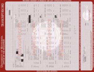 明尼苏达大学双城分校成绩单怎么获取？真实经验分享（UMN Transcript Guide）